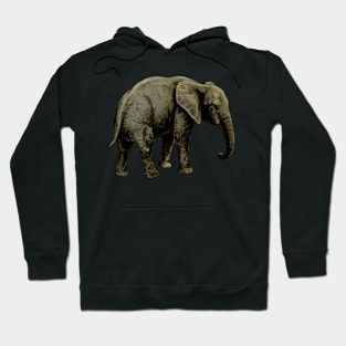 elephant Hoodie